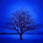 Аватар канала ⒷⓁⓊⒺ 💙 ♕ 🌙
