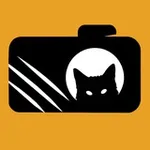 Аватар канала Подсмотрено за животными