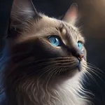 Аватар канала Котландия