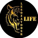 Аватар канала 🟡 LESOZAVODSK LIFE