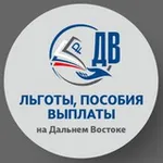 Аватар канала Льготы/Пособия/Выплаты на ДВ