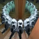 Аватар канала follyflly