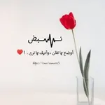 Аватар канала نَبـــض ♥️