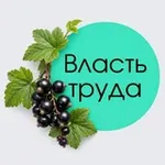 Аватар канала Власть труда