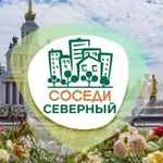 Аватар канала СОСЕДИ Северный