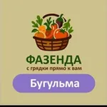 Аватар канала Бугульма «Фазенда»: фрукты, рыба, деликатесы и экзотика