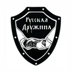 Аватар канала РУССКАЯ ДРУЖИНА