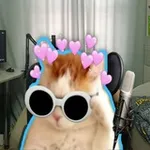 Аватар канала Nikkat и точка