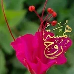 Аватар канала همسة روح