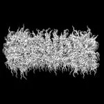 Аватар канала gosudar death metal