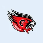 Аватар канала 🦅 ХК «Сокол» – Новочебоксарск