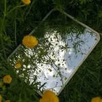 Аватар канала أخضــريَّة القـ𓂆ــلب.𓋜