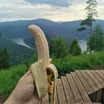 Аватар канала Исключительно базовый вахтовик