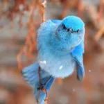 Аватар канала twitter curated
