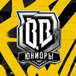 Аватар канала БРОУКИ ЮНИОРЫ