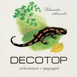 Аватар канала DECOTOP - сближаем с природой