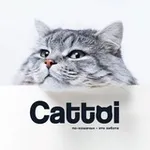 Аватар канала Cattoi