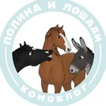 Аватар канала Полина и Лошади | коноблог