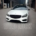Аватар канала Wild Luck