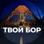 Аватар канала Твой Бор | tvoy-bor.ru