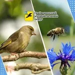 Аватар канала Грайворонский муниципальный округ