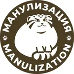Аватар канала Manulization | Манулизация