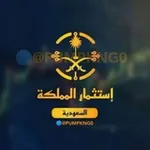 Аватар канала 🇸🇦 إستثمار السعودية 🇸🇦 والامارات 🇦🇪