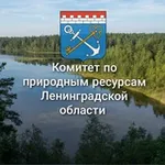Аватар канала Комитет по природным ресурсам Ленобласти
