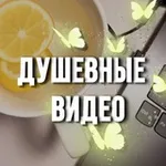 Аватар канала Душевные видео 🦋 Видео для сторис | Фоны