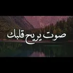 Аватар канала حالات واتس قران. مقاطع صوتيةツ 🤍