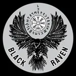 Аватар канала Black Raven | Чорні Круки