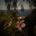 Аватар канала مُتنفس