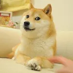 Аватар канала Own The Doge