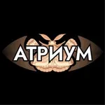 Аватар канала Атриум | Олимпиадная литература
