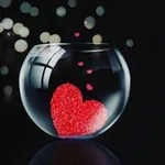 Аватар канала ❤️ همسات دافــئــة ❤️