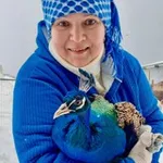 Аватар канала 🙋‍♀ Семейная ферма 🦃