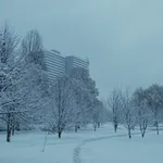 Аватар канала Панельки