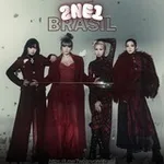 Аватар канала 2NE1 BRASIL 𓆩♡𓆪