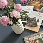 Аватар канала Читальный уголок | Книги, путешествия, досуг