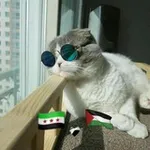 Аватар канала 😂 عالم الضحك 😂