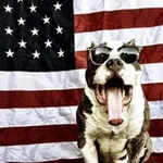 Аватар канала The WatchDog