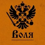 Аватар канала Воля 🏴‍☠️
