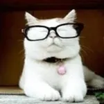 Аватар канала Catturd ™