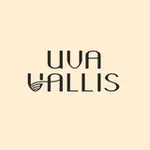 Аватар канала UVA VALLIS