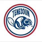 Аватар канала Tenesoun