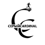 Аватар канала Серый CARDINAL 🇰🇿 ⚽️