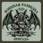 Аватар канала Разведка 123 ОМСБр "АВАНГАРД"