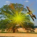 Аватар канала ❣️ Wir ❣️ Gemeinsam in die neue Zeit 🕊 🪶