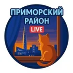 Аватар канала 🌉 Приморский район Live