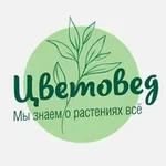 Аватар канала Цветовед